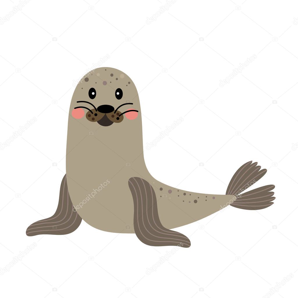 Seal animal cartoon character vector illustration