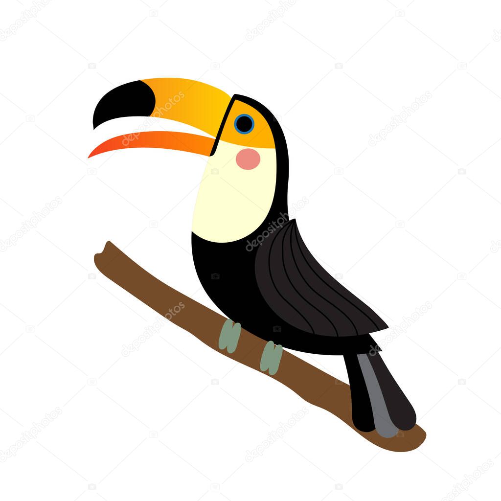 Toucan bird animal cartoon character vector illustration.