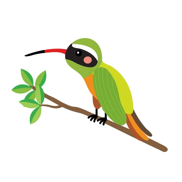 Xantus Colibrí Encaramado Rama Animal Dibujo Animado Personaje Vector Ilustración — Vector de stock