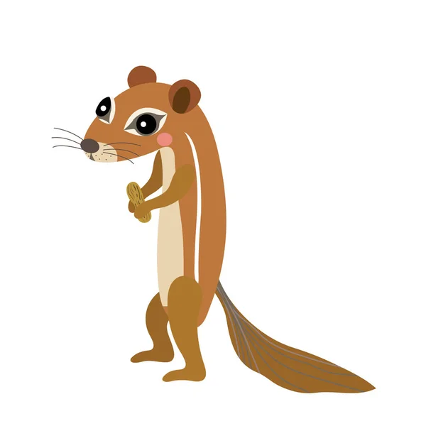 Xerus Animal Cartoon Character Vector Illustration — Stock Vector