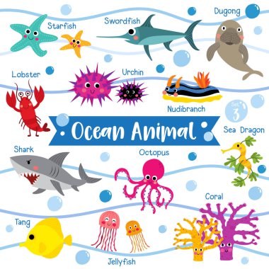 Beyaz arka planda hayvan isimli Okyanus Hayvanı çizgi filmi. Istakoz. Denizyıldızı. Ahtapot. Köpekbalığı. Denizanası. Mercan. Tang. Deniz Ejderhası. Urchin. Kılıçbalığı. Çıplaklık. Deniz ineği. Vektör illüstrasyonu. 