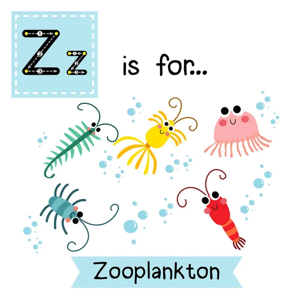 Buchstabe Rückverfolgung Red Waratah Anemone Nette Kinder Zoo Alphabet Flash — Stockvektor