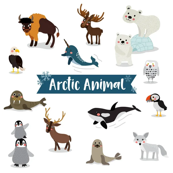 Arctic Animal Cartoon Witte Achtergrond Pinguïn Ijsbeer Rendieren Walrus Eland — Stockvector