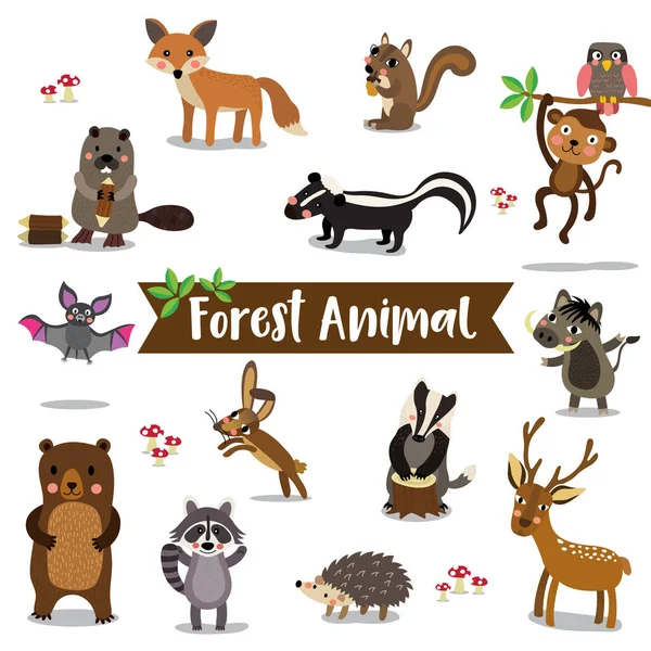 Лесной Мультфильм Animal Белом Фоне Летучая Мышь Сова Фокс Олень — стоковый вектор