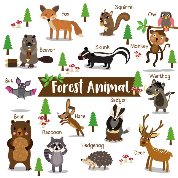 Forest Animal Cartoon Auf Weißem Hintergrund Mit Tiernamen Fledermaus Eule — Stockvektor