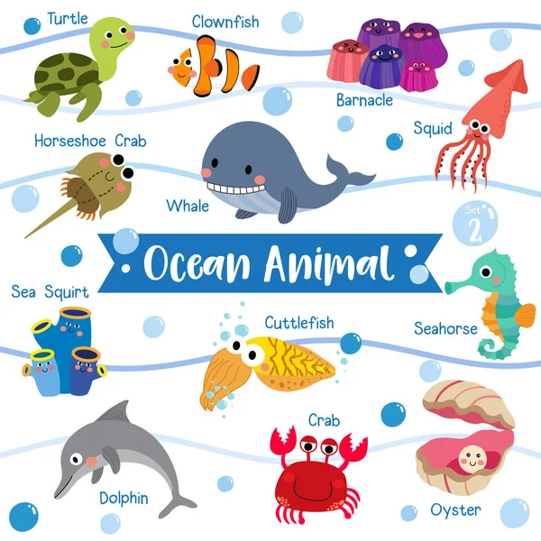 Desenhos Animados Ocean Animal Sobre Fundo Branco Com Nome Animal —  Vetores de Stock