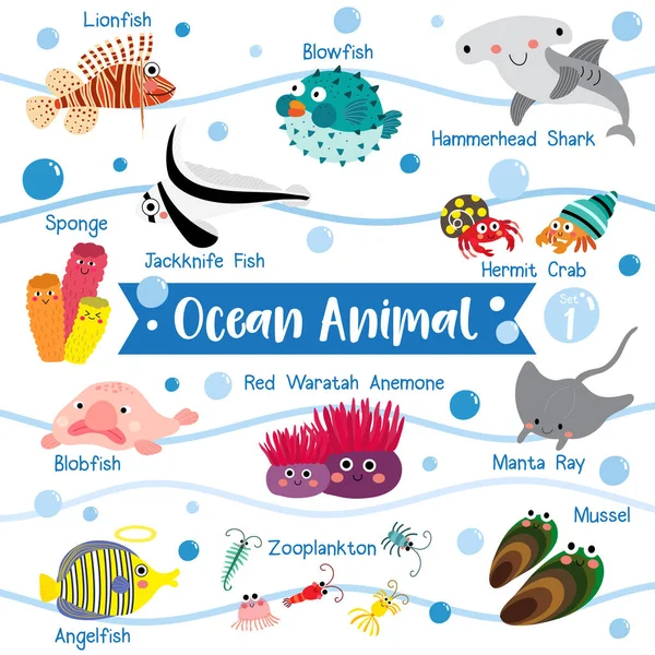 Ocean Animal Rajzfilm Fehér Háttér Állati Névvel Fújóhal Kalapácsfejű Cápa — Stock Vector