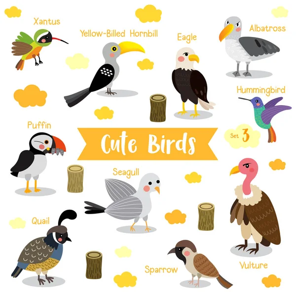 Cute Birds Animal Dibujos Animados Sobre Fondo Blanco Con Nombre — Vector de stock