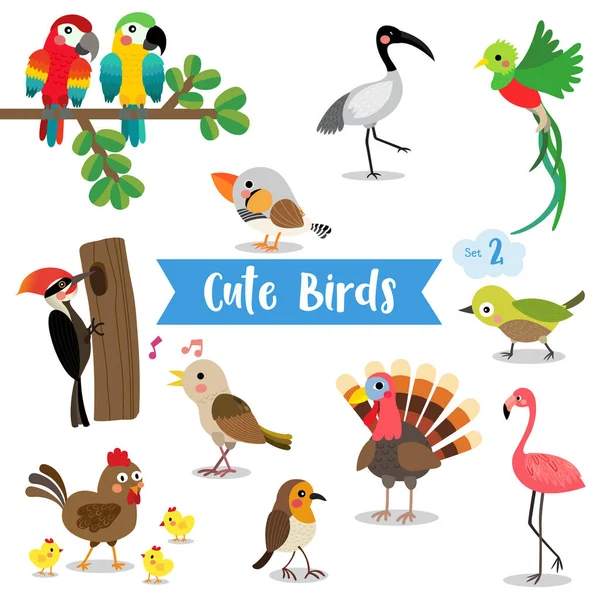 Cute Birds Zwierząt Kreskówki Białym Tle Kurczak Laska Flaminga Papuga — Wektor stockowy