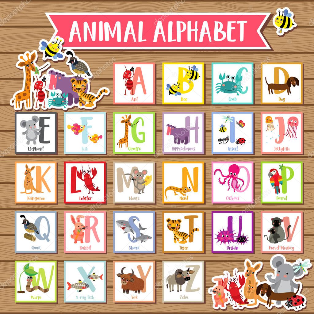 a to z animal alphabet wood background
