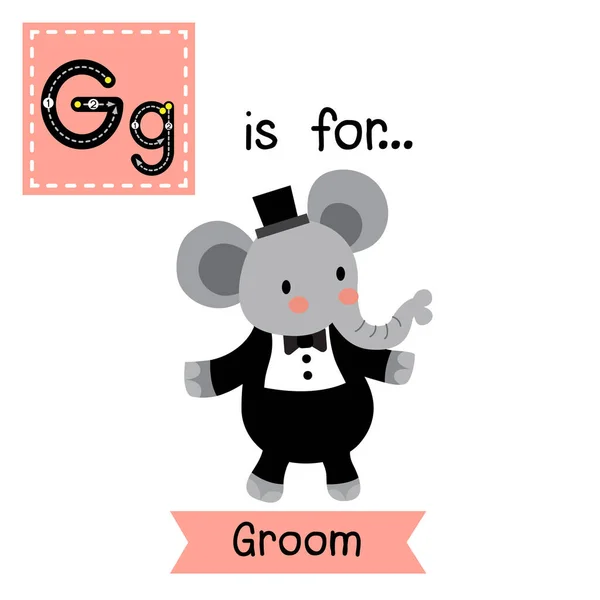 Enfants Mignons Alphabet Abc Lettre Traçage Fiche Groom Pour Les — Image vectorielle