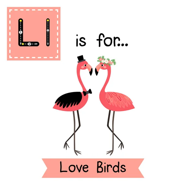 Lindos Niños Alfabeto Abc Carta Rastreo Flashcard Love Birds Para — Vector de stock
