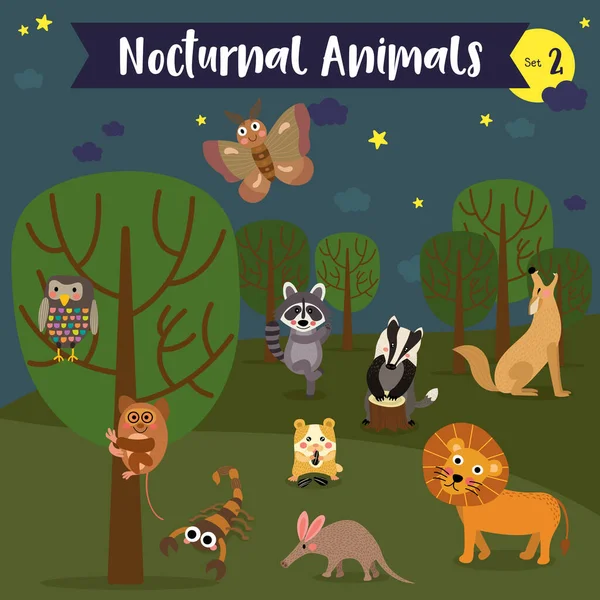Desenhos Animados Animais Noturnos Com Fundo Floresta —  Vetores de Stock