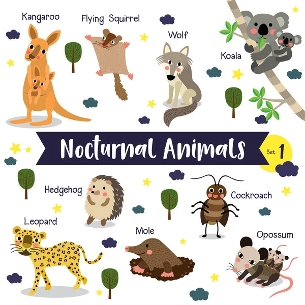 Dibujos Animados Animales Nocturnos Sobre Fondo Blanco Con Nombre Animal — Vector de stock