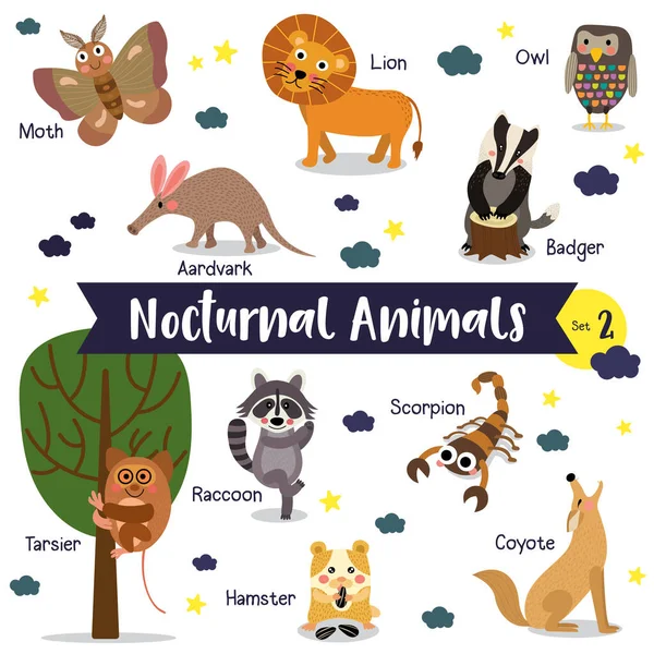 Dibujos Animados Animales Nocturnos Sobre Fondo Blanco Con Nombre Animal — Archivo Imágenes Vectoriales