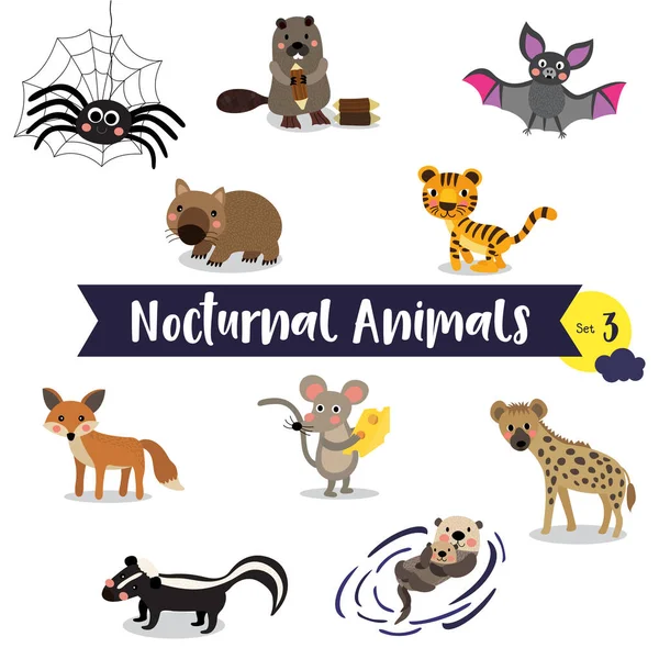 Nocturnal Animals cartoon on white background.