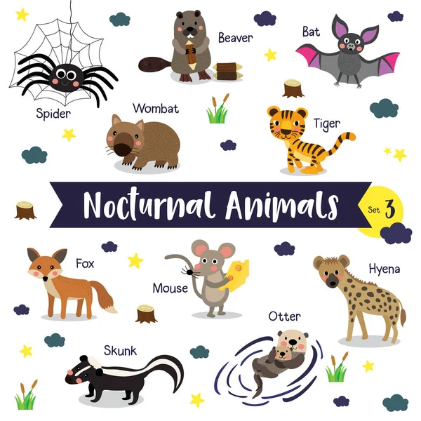 Desenhos Animados Animais Noturnos Fundo Branco Com Nome Animal —  Vetores de Stock