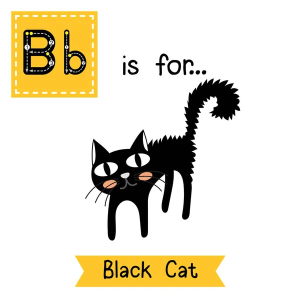 Leuke Kinderen Abc Alfabet Letter Traceren Flashcard Van Black Cat — Stockvector
