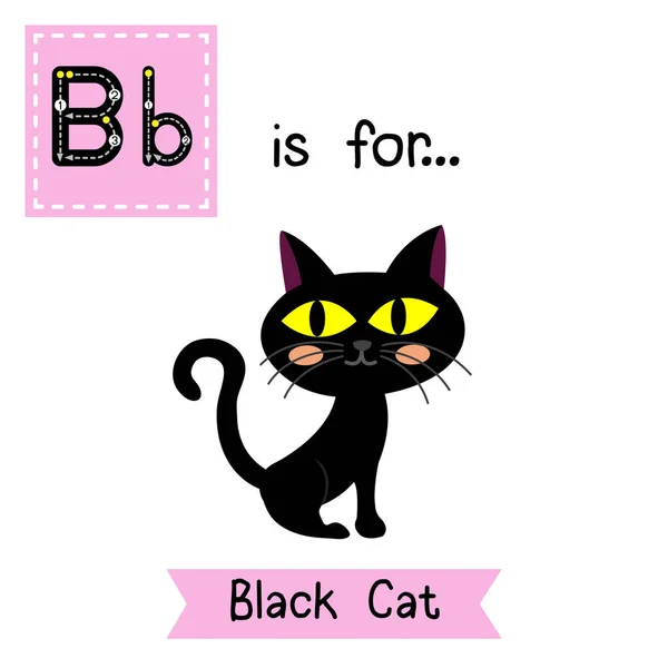 Crianças Bonitos Abc Alfabeto Carta Rastreando Flashcard Sentar Black Cat — Vetor de Stock
