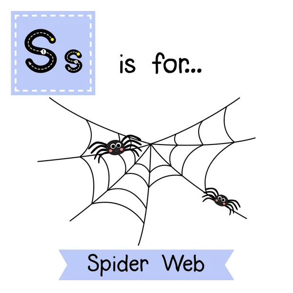 Söta Barn Abc Alfabetet Letter Tracing Flashcard Spider Web För — Stock vektor