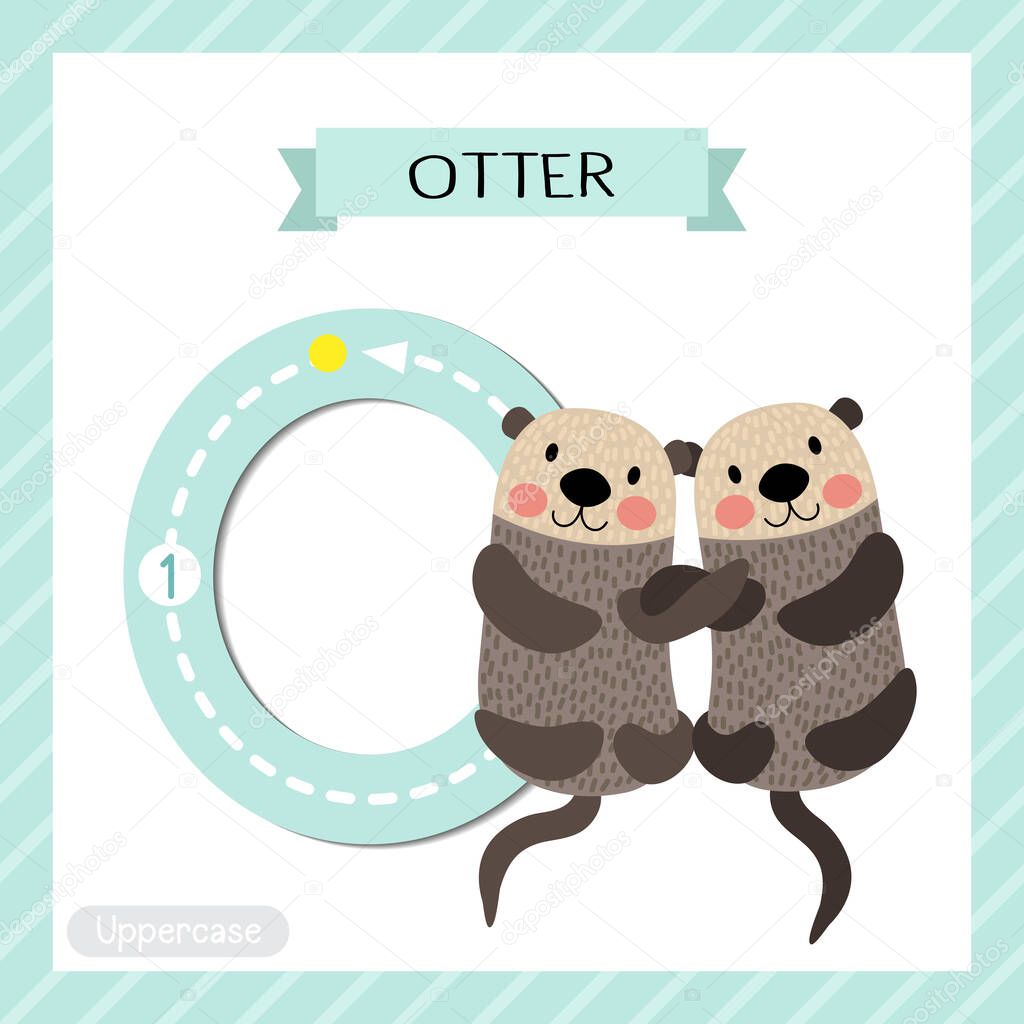 Letter O uppercase cute children colorful zoo and animals ABC alphabet tracing flashcard of Otter couple holding hands for kids learning English vocabulary and handwriting vector illustration.