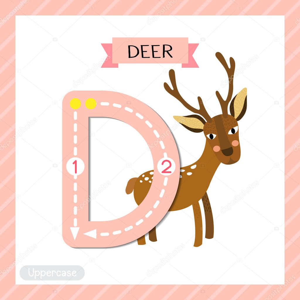 Letter D uppercase cute children colorful zoo and animals ABC alphabet tracing flashcard of Deer for kids learning English vocabulary and handwriting vector illustration.