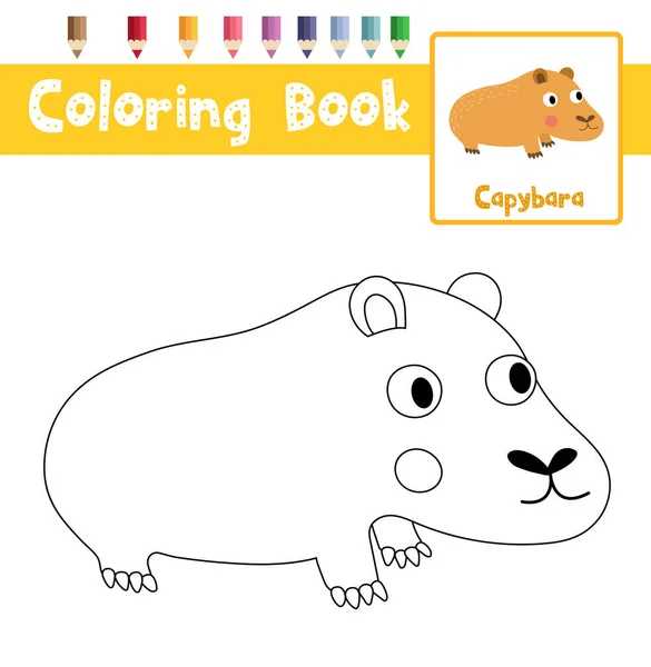 Dibujo Para Colorear Los Animales Capybara Para Niños Edad Preescolar — Vector de stock