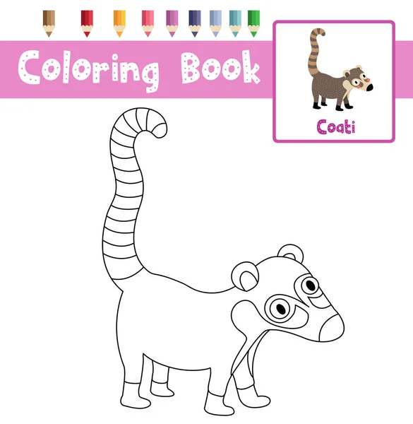 Dibujo Para Colorear Animales Coati Para Niños Edad Preescolar Actividad — Vector de stock