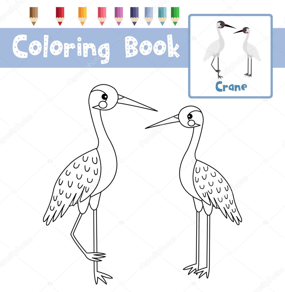 Coloring page of Standing Crane bird animals for preschool kids activity educational worksheet. Vector Illustration.