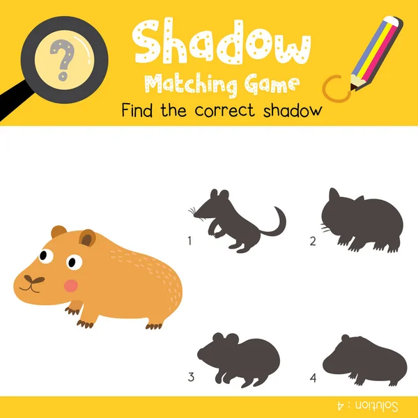 Shadow Matching Game Capybara Animals Preschool Kids Activity Worksheet Colorful — Stock Vector
