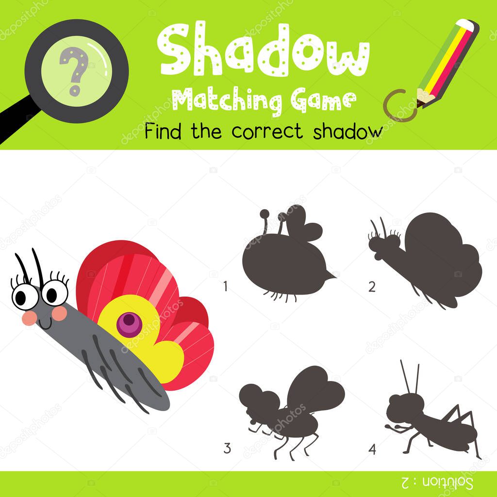 Shadow matching game of Butterfly side view animals for preschool kids activity worksheet colorful version. Vector Illustration.