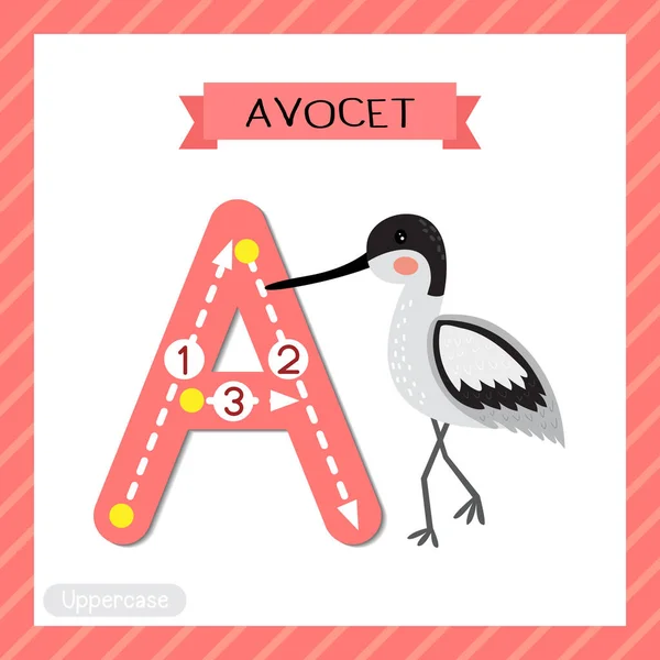 Letter Uppercase Cute Children Colorful Zoo Animals Abc Abeceda Tracing — Stockový vektor