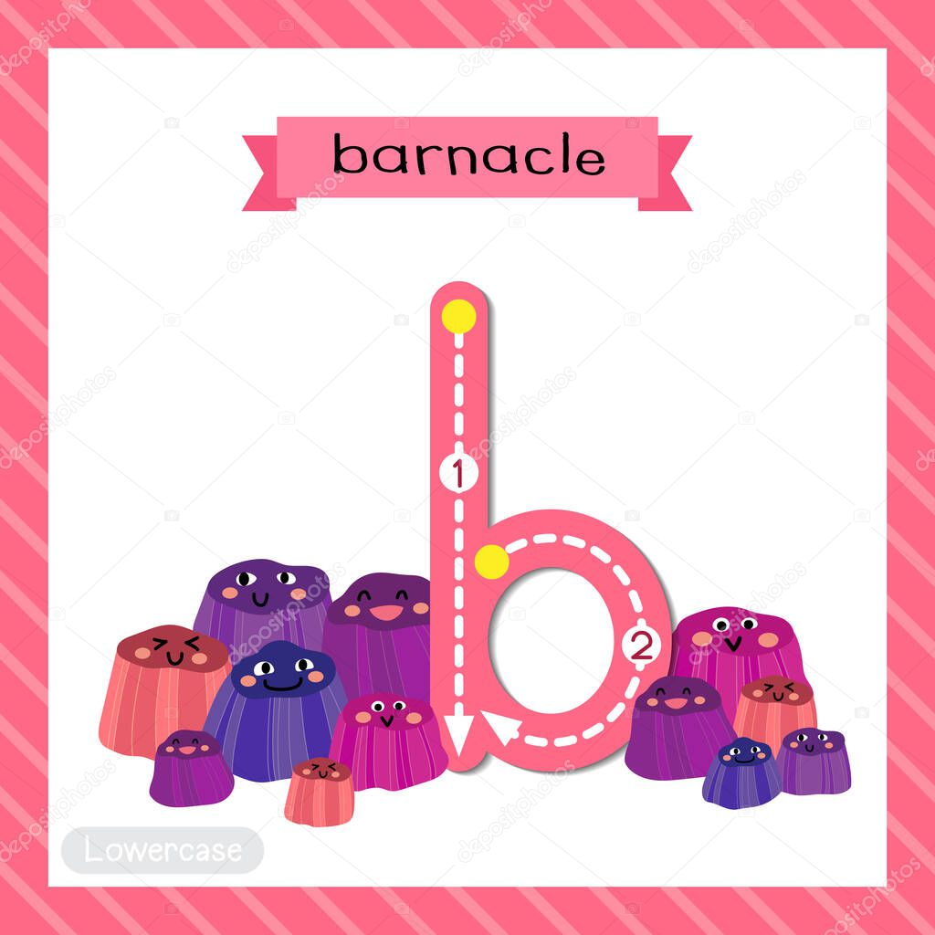 Letter B lowercase cute children colorful zoo and animals ABC alphabet tracing flashcard of Barnacle for kids learning English vocabulary and handwriting vector illustration.