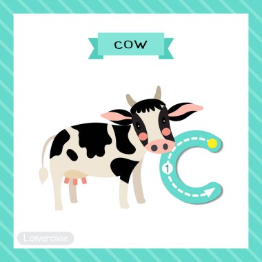 C harfi küçük çocuklar için renkli hayvanat bahçesi ve ABC alfabesindeki hayvanlar için Mutlu Holstein İneği 'nin İngilizce kelime dağarcığı ve el yazısı illüstrasyonunu öğrenen çocuklar için bilgi kartı..