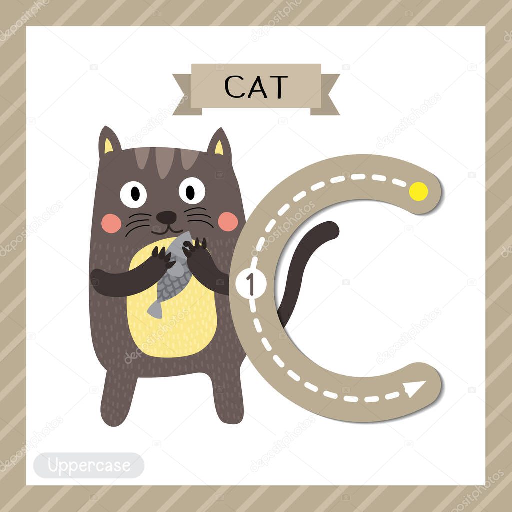 Letter C uppercase cute children colorful zoo and animals ABC alphabet tracing flashcard of Standing Cat holding fish for kids learning English vocabulary and handwriting vector illustration.