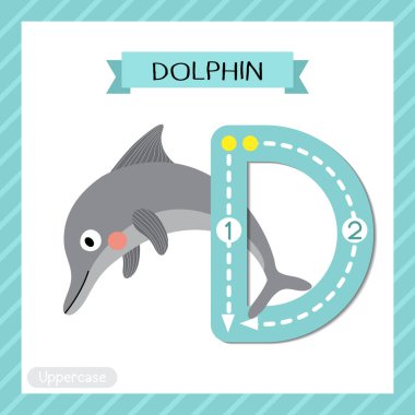 D harfi büyük çocuklar için renkli hayvanat bahçesi ve hayvanlar için ABC alfabesi Yunus 'un İngilizce kelime bilgisi ve el yazısı vektör çizimi öğrenen çocuklar için bilgi kartı..