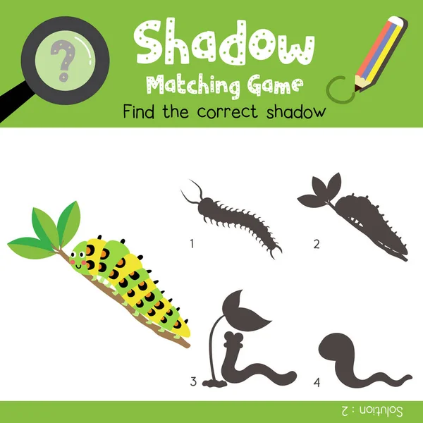 Shadow Megfelelő Játék Caterpillar Mászik Állatok Óvodások Tevékenység Munkalap Színes — Stock Vector