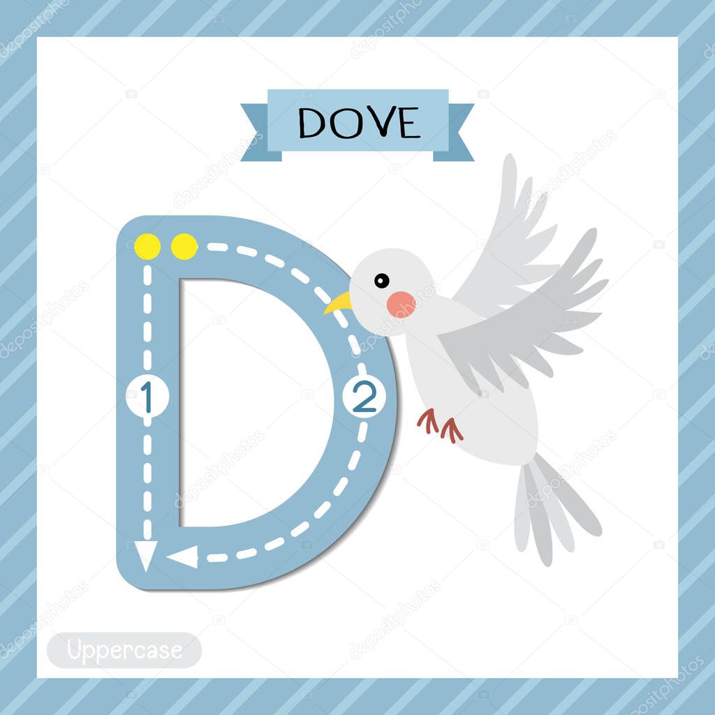 Letter D uppercase cute children colorful zoo and animals ABC alphabet tracing flashcard of A Flying Dove bird for kids learning English vocabulary and handwriting vector illustration.