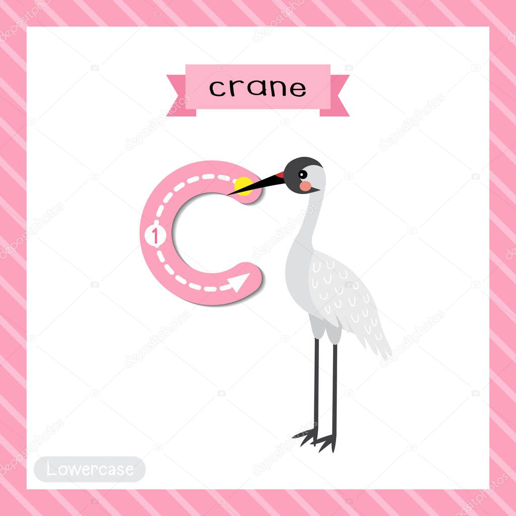 Letter C lowercase cute children colorful zoo and animals ABC alphabet tracing flashcard of Standing Crane bird for kids learning English vocabulary and handwriting vector illustration.