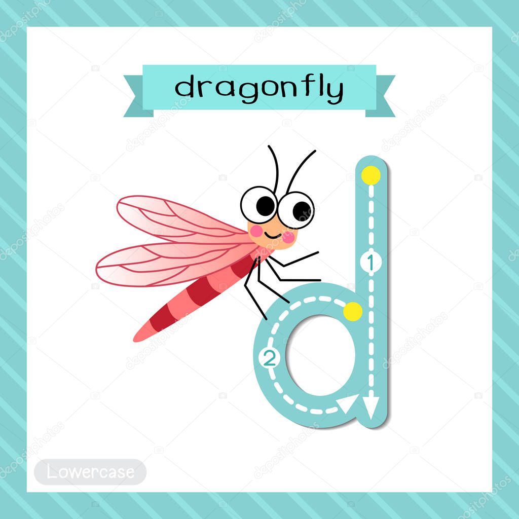 Letter D lowercase cute children colorful zoo and animals ABC alphabet tracing flashcard of Dragonfly insect for kids learning English vocabulary and handwriting vector illustration.