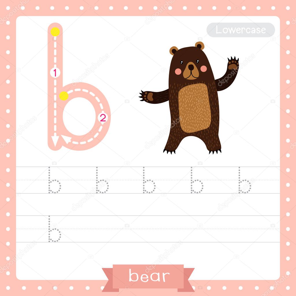 Letter B lowercase cute children colorful zoo and animals ABC alphabet tracing practice worksheet of Standing Bear raising two hands for kids learning English vocabulary and handwriting vector illustration.
