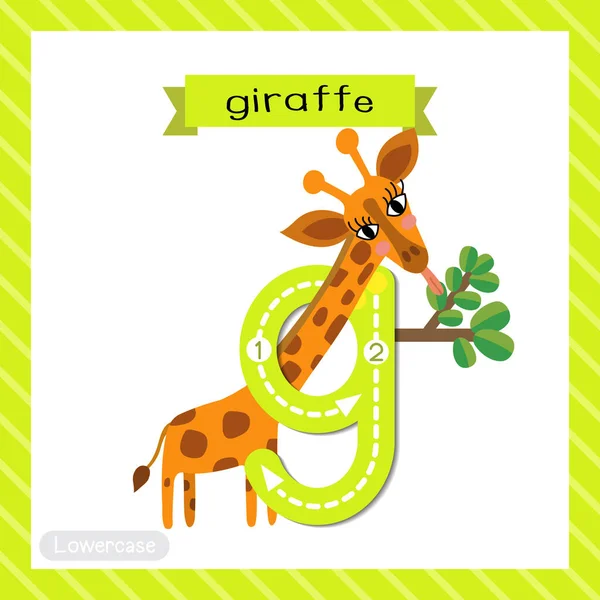 Alphabet Animal G Vector Art Stock Images ページ 2 Depositphotos