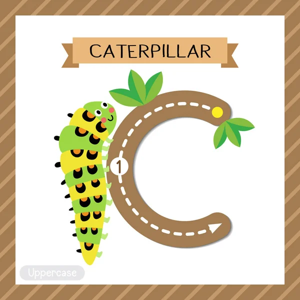 手紙Cの大文字かわいい子供カラフルな動物園や動物Abcのアルファベットは 英語の語彙や手書きのベクトルイラストを学ぶ子供のための枝にクロールキャタピラーのフラッシュカードをトレース — ストックベクタ