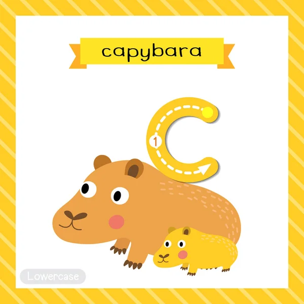 Vetores de Ilustração Vetorial De Um Rosto Sorridente Da Capivara Isolado  No Fundo Branco Com A Letra Maiúscula C Para Uso Como Material Didático  Deixe As Crianças Conhecerem O Alfabeto Inglês e