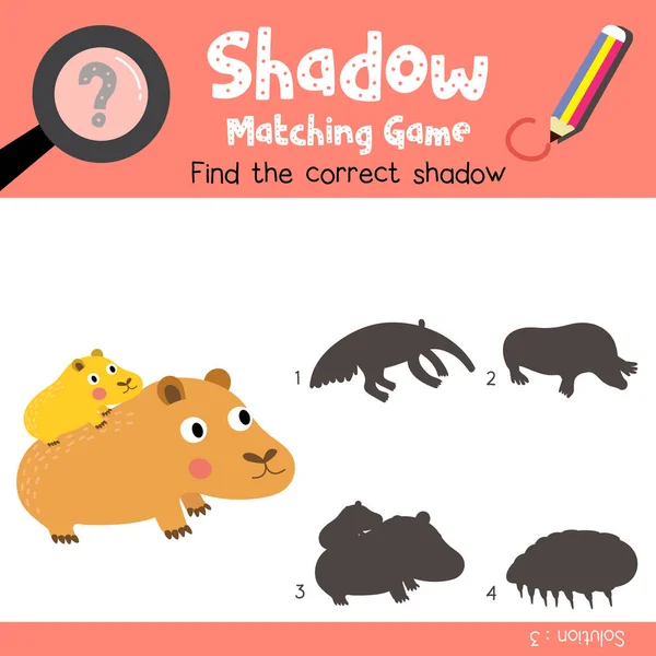 Shadow Matching Game Capybara Mother Child Animals Preschool Kids Activity — Stock Vector