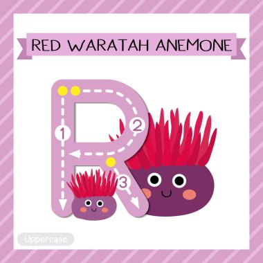 R büyük harf şirin çocuklar hayvanat bahçesi renkli ve hayvanlar ABC alfabesi Red Waratah Anemone 'nin İngilizce kelime dağarcığı ve el yazısı vektör ilüstrasyonunu öğrenen çocuklar için bilgi kartı..