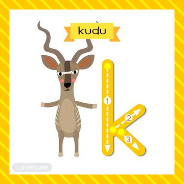 Letter K lowercase cute children colorful zoo and animals ABC alphabet tracing flashcard of Kudu standing on two legs for kids learning English vocabulary and handwriting vector illustration. clipart