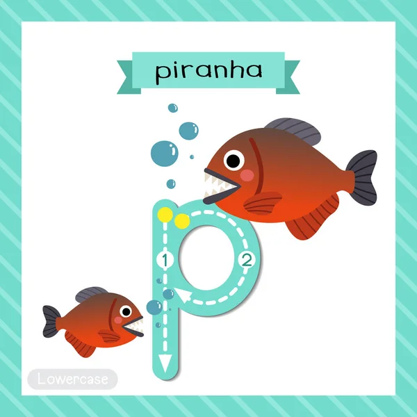 手紙P小文字かわいい子供たちカラフルな動物園や動物Abcアルファベット子供たちのためのピラニア魚のフラッシュカードを追跡英語の語彙や手書きベクトルイラストを学ぶ — ストックベクタ