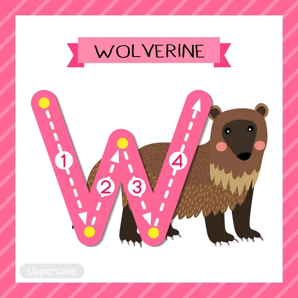 Harfi Büyük Çocuklar Için Renkli Hayvanat Bahçesi Abc Alfabesi Wolverine — Stok Vektör