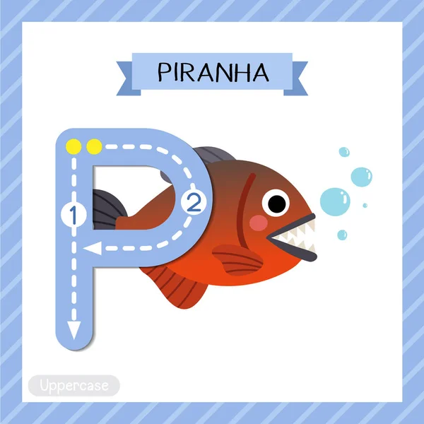 手紙P大文字かわいい子供カラフルな動物園や動物Abcアルファベット子供のためのピラニア魚のフラッシュカードを追跡英語の語彙や手書きベクトルイラストを学ぶ — ストックベクタ